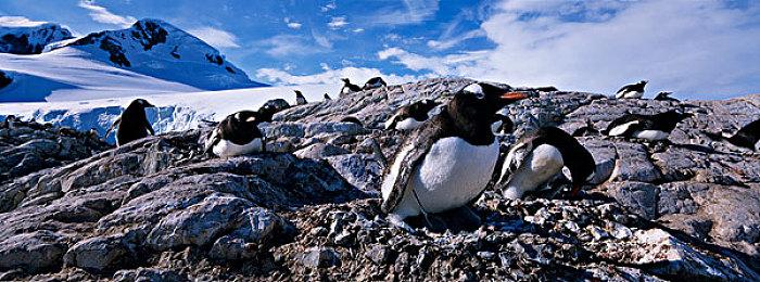 Epic商店开启2022大特卖活动 7.5折套娃券无限领取