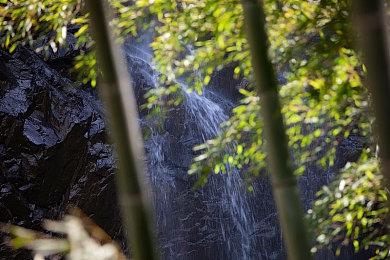 3DM速报：动视暴雪月活收入齐下滑，米哈游起诉三七抄袭《原神》获赔3万