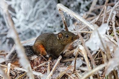 《法外枭雄：滚石城》在发布后将持续推出新内容